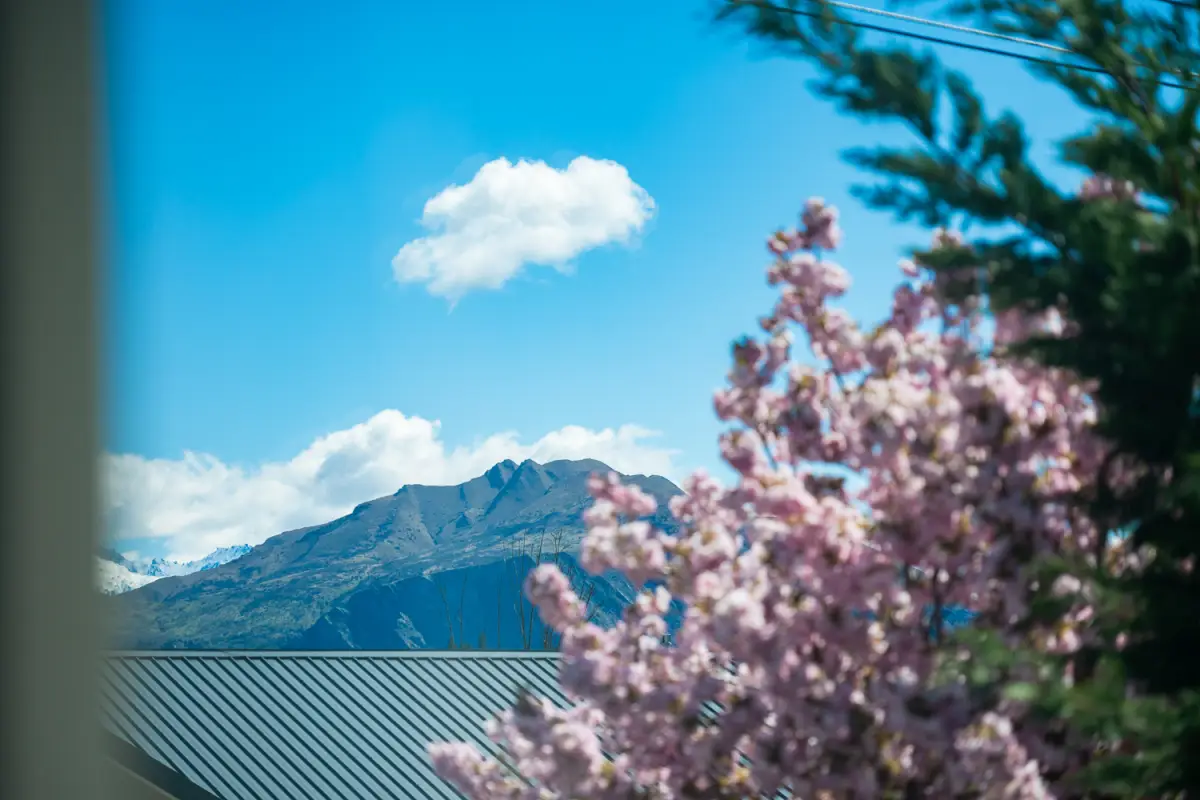 Mountains and Flower Detail