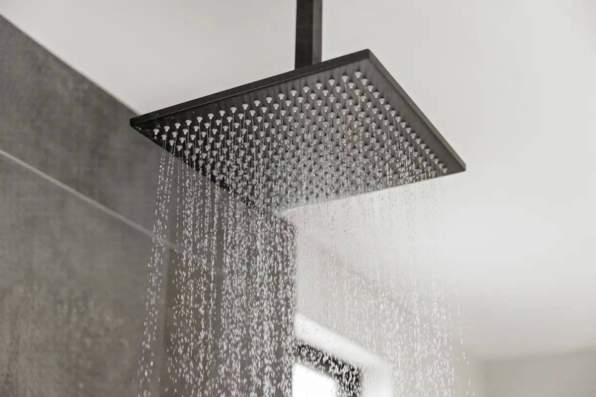 Close-up of Stylish Shower